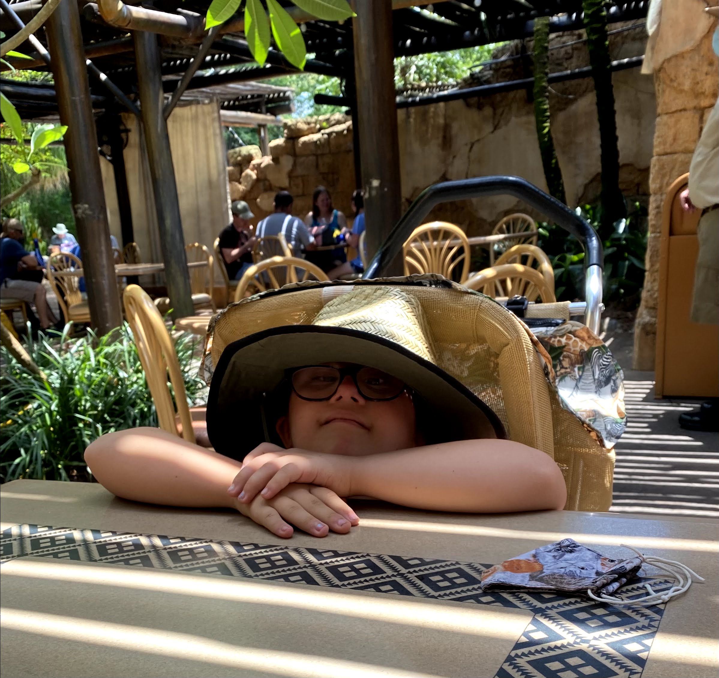 Animal Kingdom